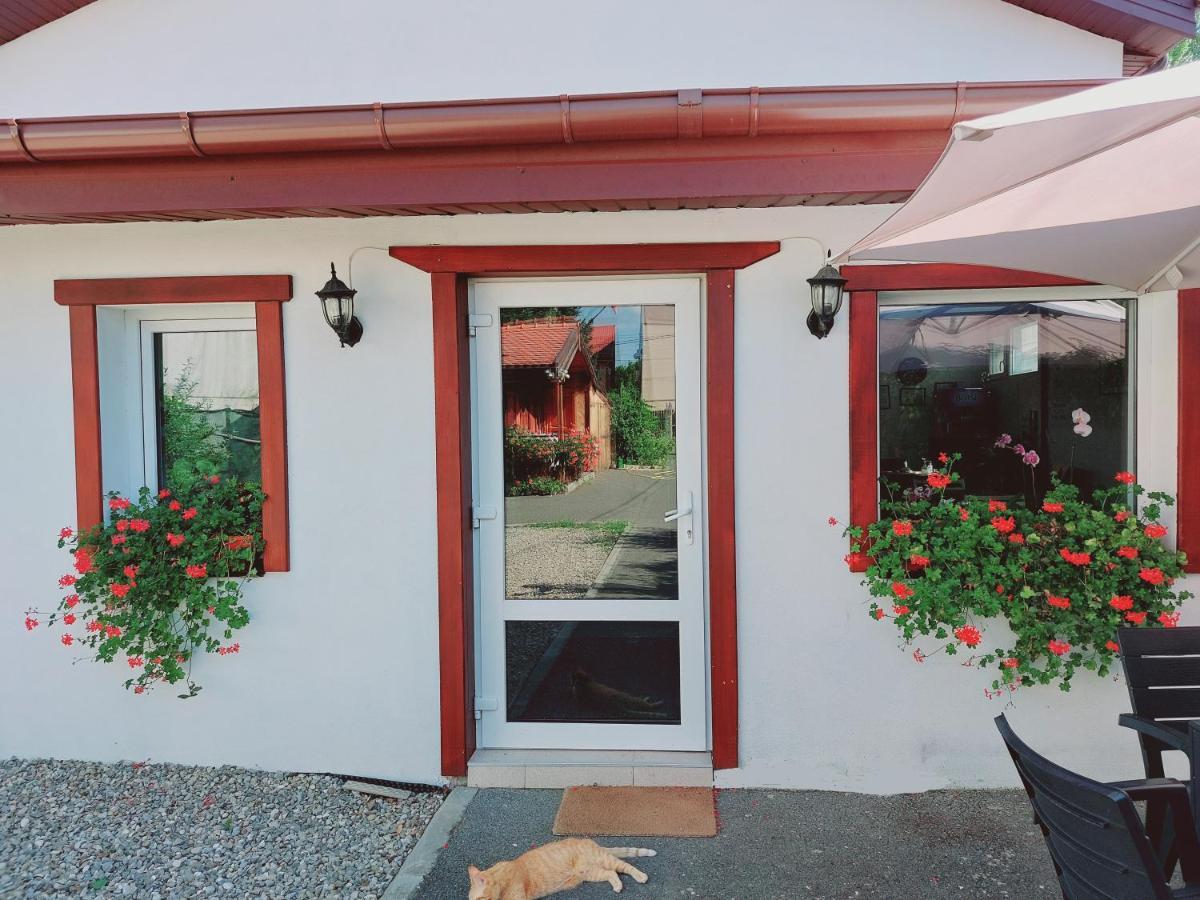 Confort Guest house