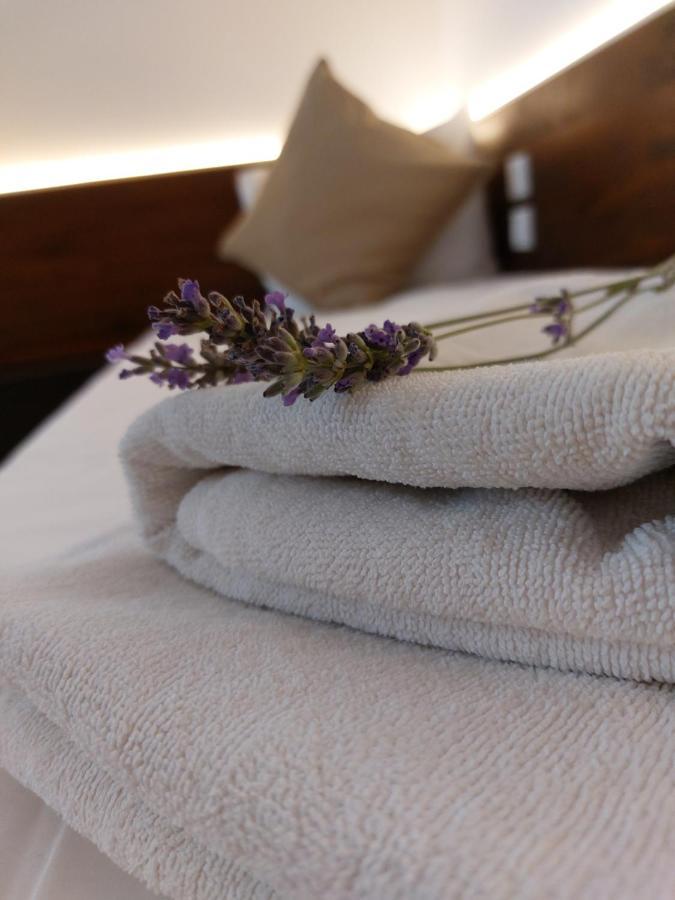 Guest house Confort Otopeni